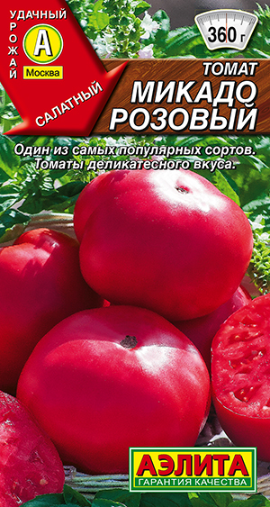 ����� ������ �������