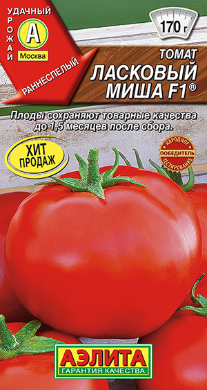 ����� �������� ���� F1