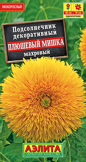 Подсолнечник махровый Плюшевый мишка Подсолнечник махровый Плюшевый мишка