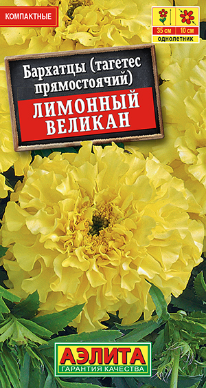 �������� �������� ������� ������������