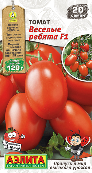 ����� ������� ������ F1