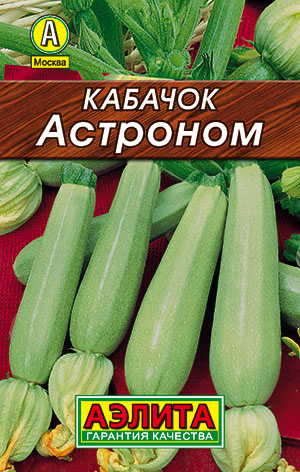 Кабачок белоплодный Астроном Кабачок белоплодный Астроном