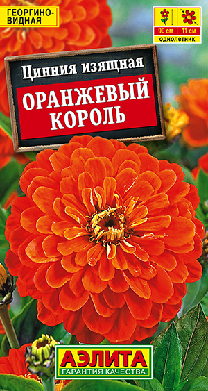 ������ ��������� ������