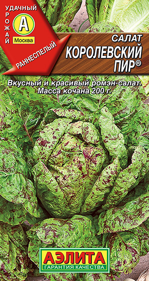 ����� ����������� ���