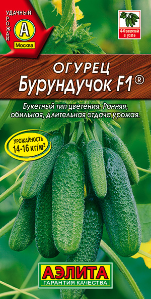 Огурец Бурундучок F1 ® Огурец Бурундучок F1 ®