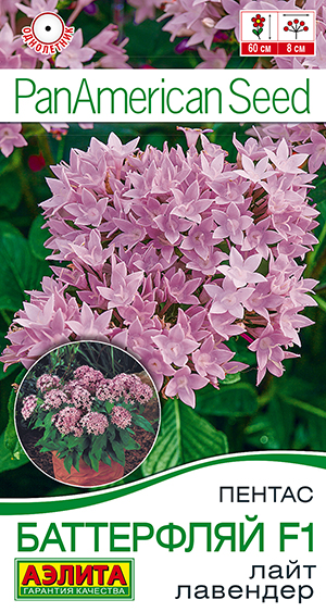 Пентас Баттерфляй F1 лайт лавендер Пентас Баттерфляй F1 лайт лавендер