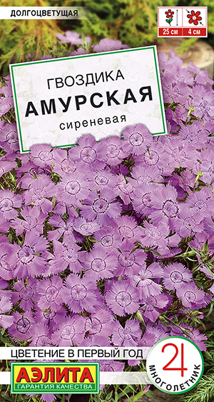 �������� �������� ���������