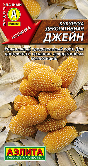 �������� ������������ �����