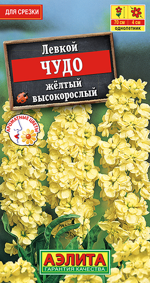 Левкой высокорослый Чудо желтый Левкой высокорослый Чудо желтый