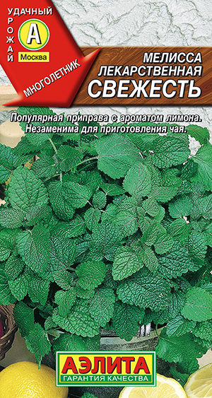 Мелисса лекарственная Свежесть Мелисса лекарственная Свежесть