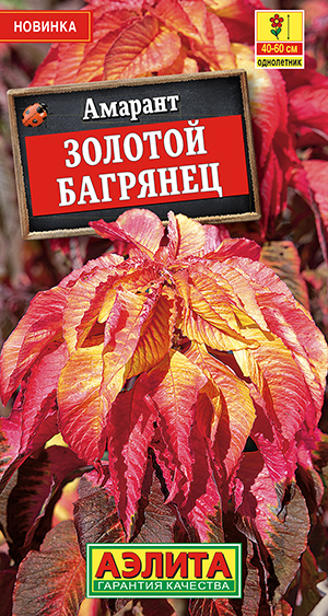 Амарант Золотой багрянец Амарант Золотой багрянец