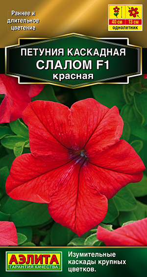 ������� ��������� ������ F1 �������