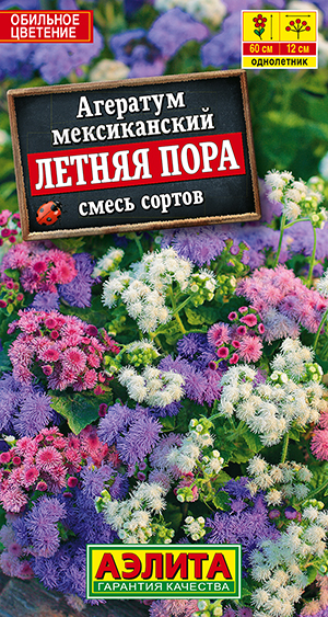 Агератум Летняя пора, смесь сортов Агератум Летняя пора, смесь сортов