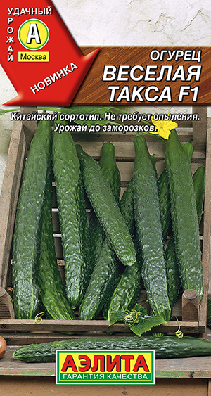 ������ ������� ����� F1