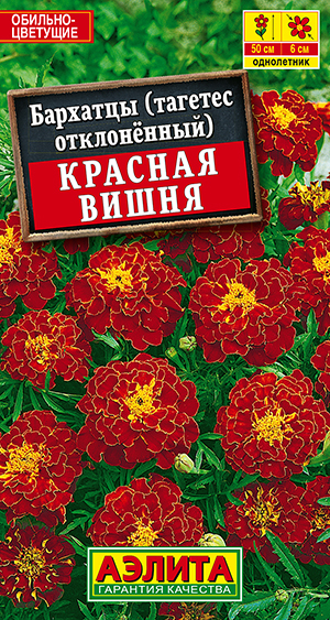 �������� ������� ����� �����������