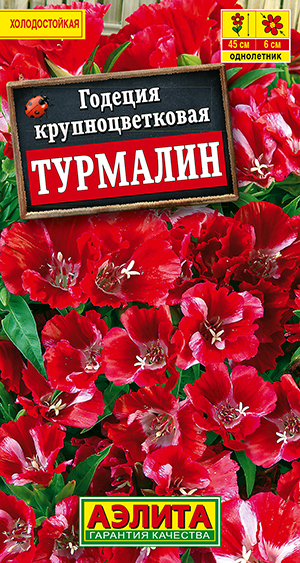 Годеция Турмалин Годеция Турмалин