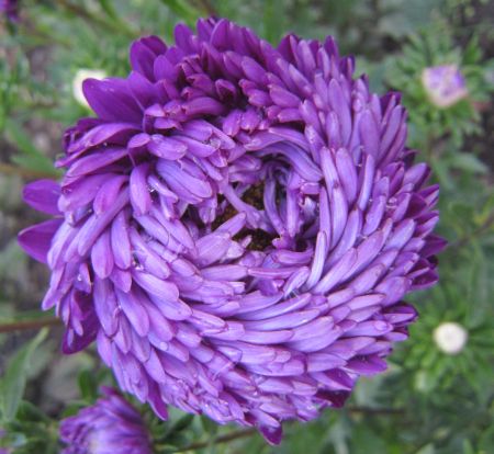 ����� ��������� ����� ����-�����