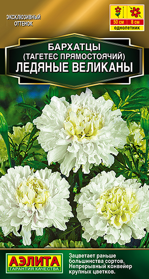 �������� ������� �������� ������������