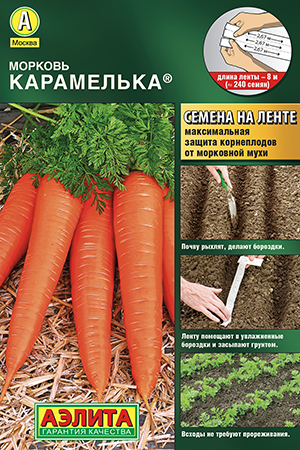 ������� ����������