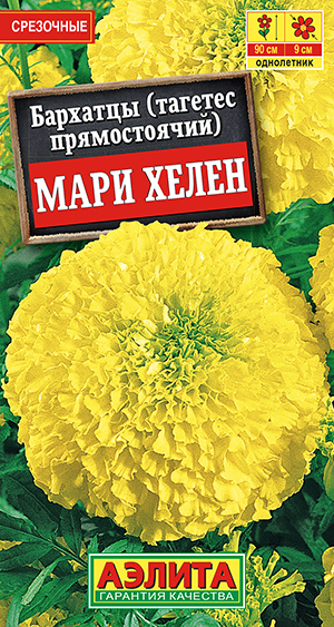 �������� ���� ����� ������������