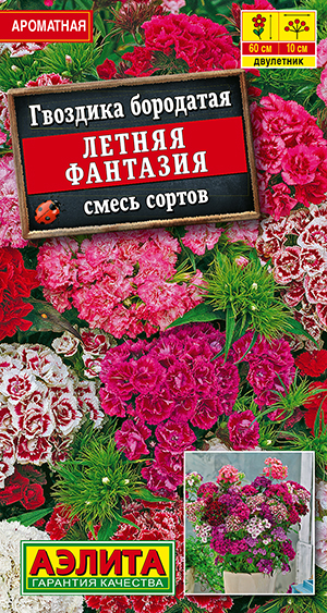 �������� ������ ��������, ����� ������