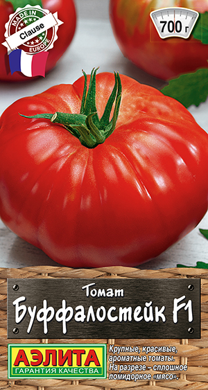 ����� ������������ F1