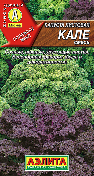 ������� �������� ����, �����