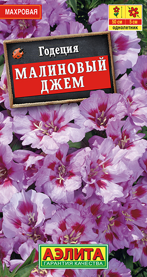 Годеция Малиновый джем махровая Годеция Малиновый джем махровая