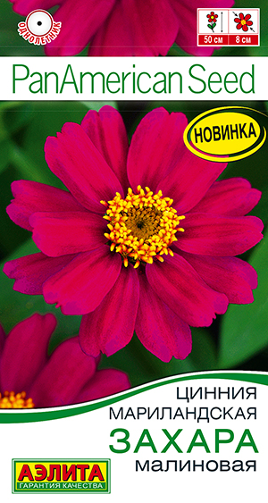 Цинния Захара малиновая Цинния Захара малиновая