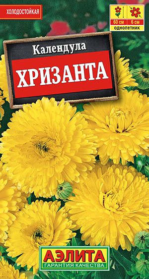 ��������� ��������