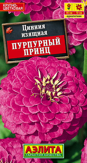 Цинния Пурпурный принц Цинния Пурпурный принц