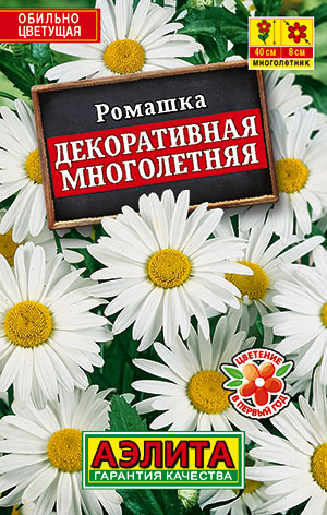 Ромашка Декоративная многолетняя Ромашка Декоративная многолетняя