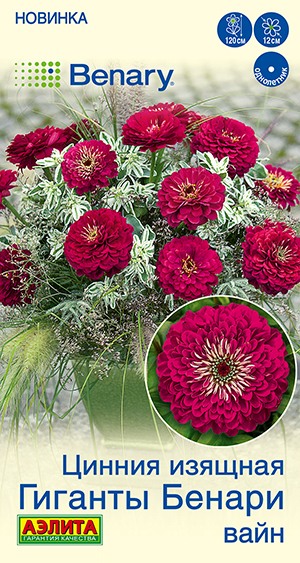 Цинния Гиганты Бенари вайн Цинния Гиганты Бенари вайн
