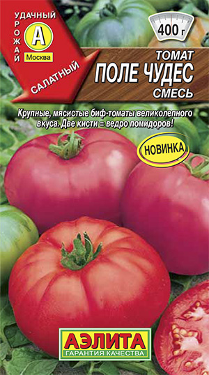 ����� ���� �����, �����