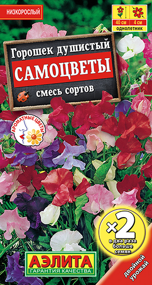 Горошек душистый Самоцветы, смесь сортов Горошек душистый Самоцветы, смесь сортов