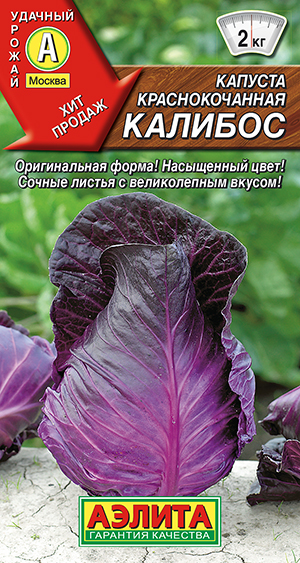 ������� �/� �������