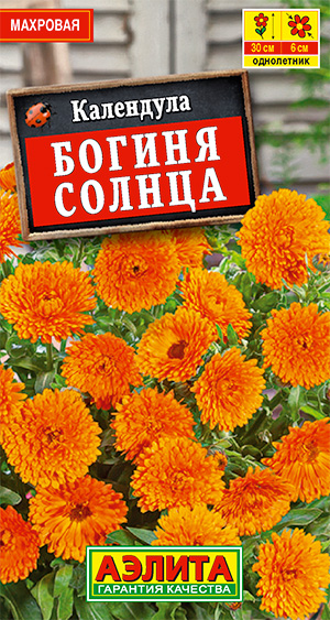 ��������� ������ ������