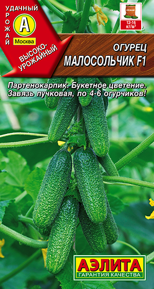 Огурец Малосольчик F1 Огурец Малосольчик F1
