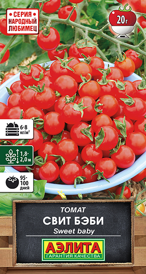 ����� ���� ����