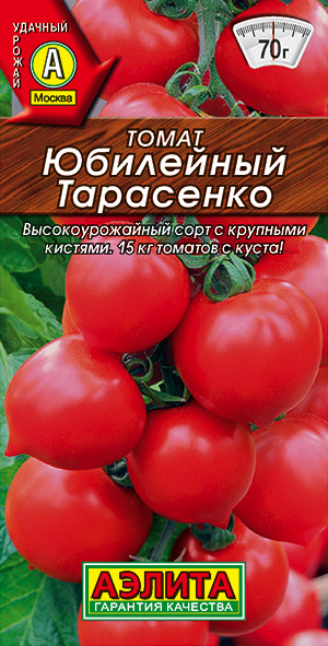 ����� ��������� ���������