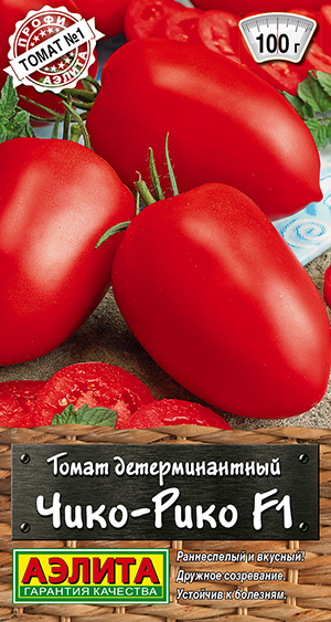 ����� ����-���� F1