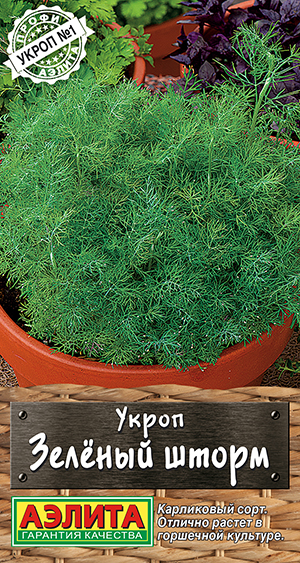 ����� ������� �����