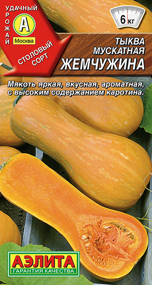 ����� ��������� ���������