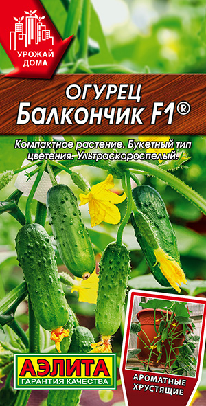 Огурец Балкончик F1 Огурец Балкончик F1