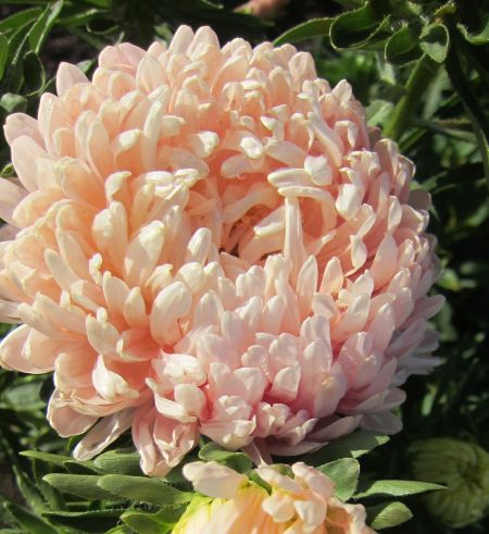 ����� ��������� ����� ����������