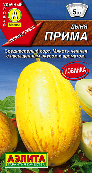Дыня Прима