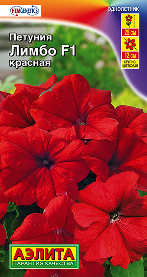 ������� ����� F1 ������� ���������������