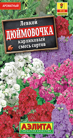 Левкой карликовый Дюймовочка, смесь сортов Левкой карликовый Дюймовочка, смесь сортов