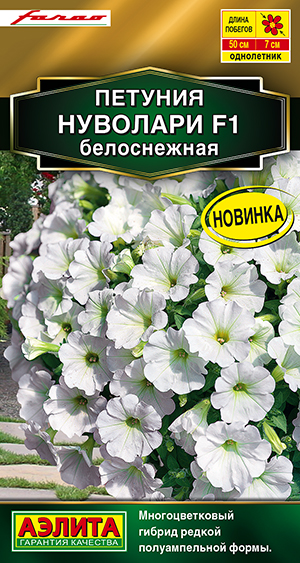Петуния Нуволари F1 полуампельная белоснежная Петуния Нуволари F1 полуампельная белоснежная