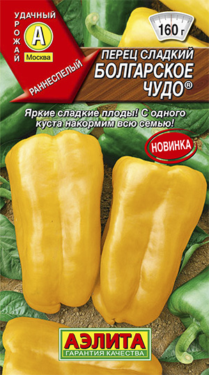 ����� ������� ���������� ����